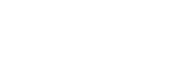 Sulident Logo
